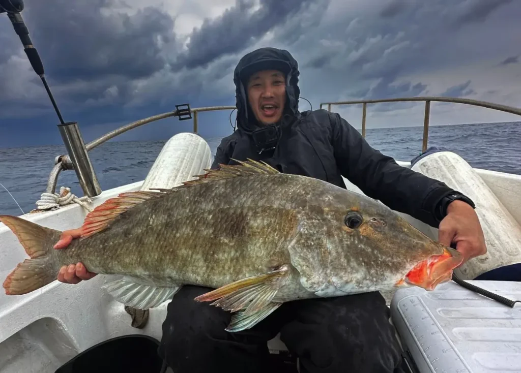 Large reef fish held on a boat during an offshore trip with Amami Fishing Tour in Kagoshima Japan
