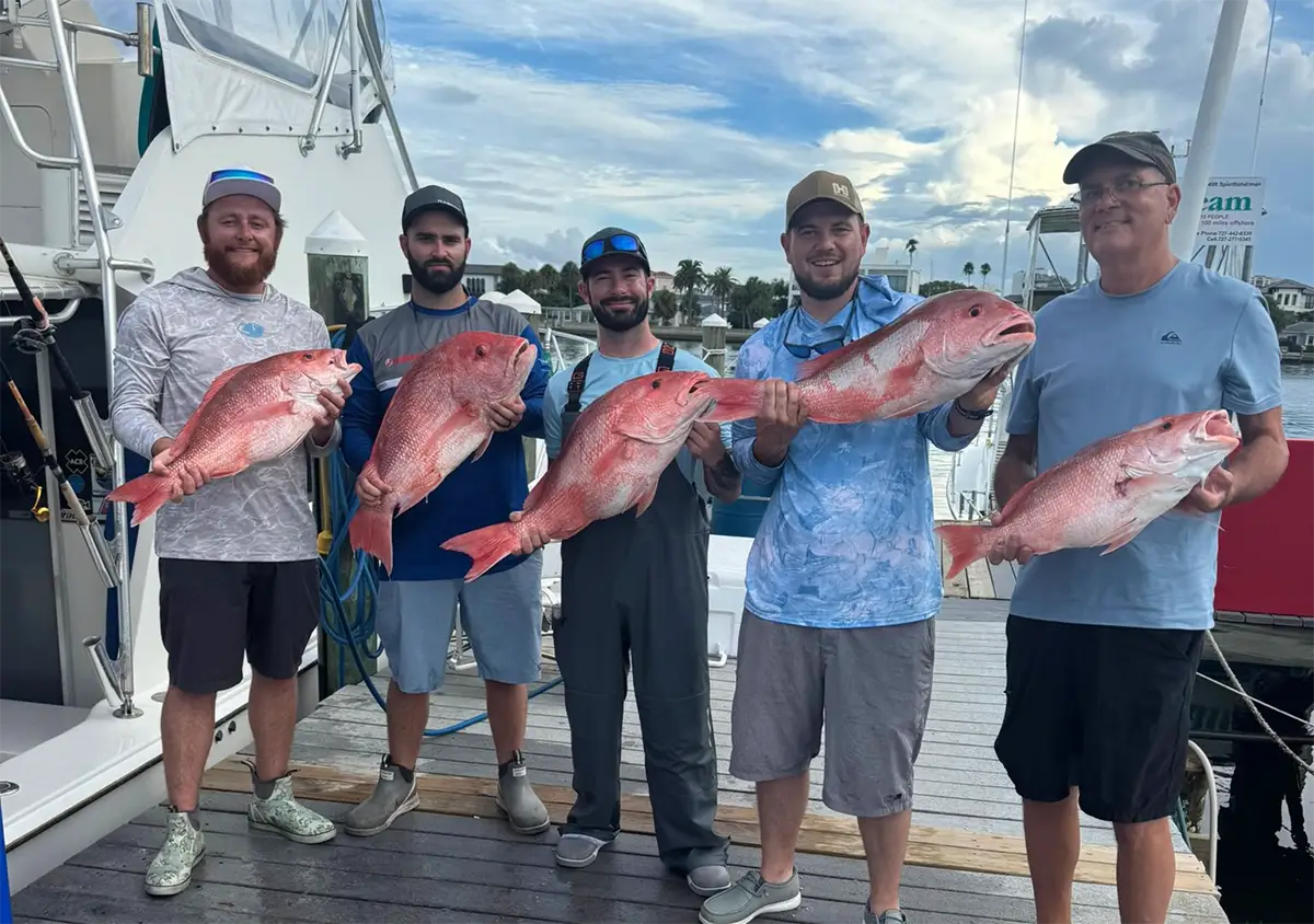Group of anglers holding red snapper on a dock at Clearwater Beach Marina, Florida