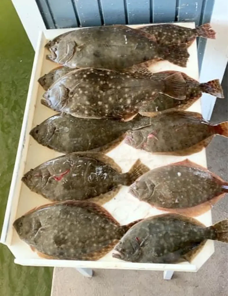 flounder arranged on a table in Galveston, Texas