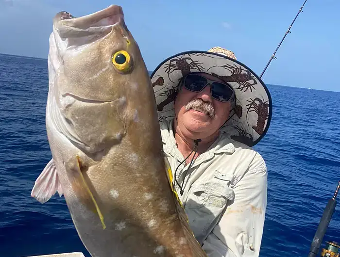 grouper