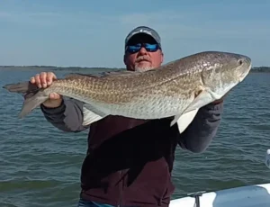 Angler holding a large redfish on the fishing boat "Freebird" near Gulf Shores Alabama