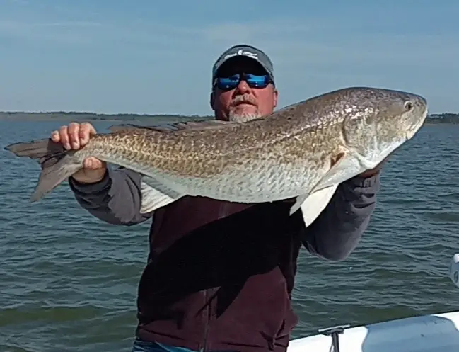 Angler holding a large redfish on the fishing boat "Freebird" near Gulf Shores Alabama