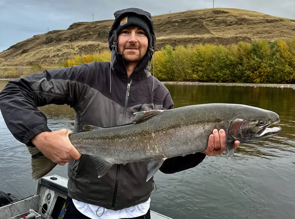 Angler holding a large Salmon River steelhead during a cold November day