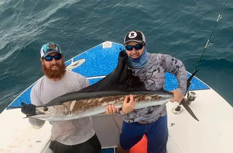 Two anglers in Islamorada holding a sailfish on the bow of a boat