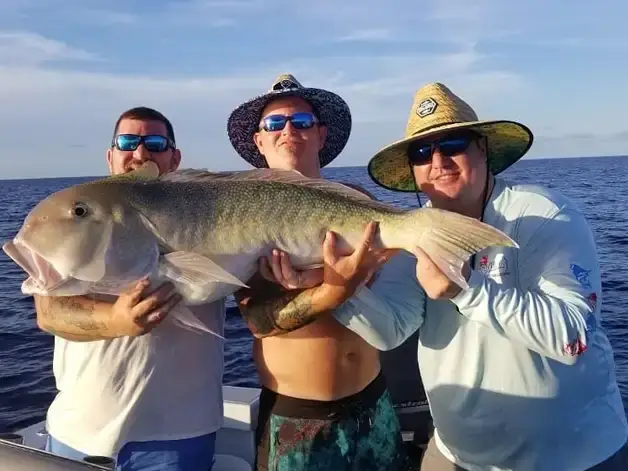 Group of anglers holding a large golden tilefish on a Key Largo deep drop charter
