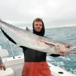 Angler in Marathon holding a large kingfish on a boat