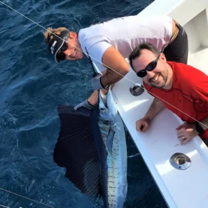 Two anglers leaning over a boat holding a sailfish beside the hull in blue water during Miami sailfishing