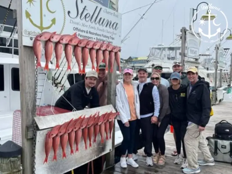 Group of anglers standing on a dock beside a rack of red snapper at a marina