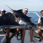 Group of anglers holding sailfish on a Phuket fishing boat during a clear day offshore