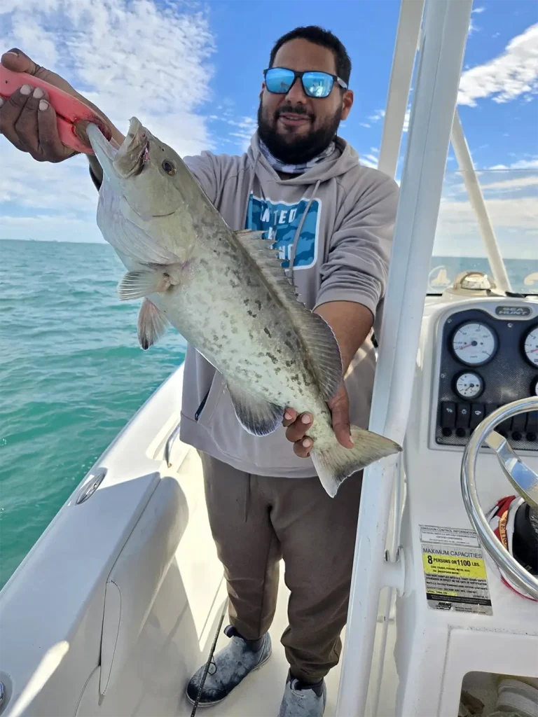 Offshore fish caught near St. Petersburg, Florida aboard Catch On Charters with Captain Kevin Wissing.