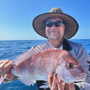 Australian snapper caught off Wollongong NSW during summer fishing
